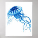 Suche nach kleiner fisch poster Für sie