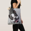 Suche nach bulldoggen taschen Welpen