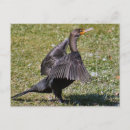 Suche nach doppeltes postkarten Foto