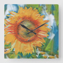 Suche nach vintage sonnenblume wanduhren Aquarell