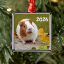 Suche nach meerschweinchen ornamente Weihnachten