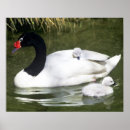 Suche nach interaktion poster Natur