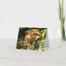 Suche nach glück iren karten Goldtopf