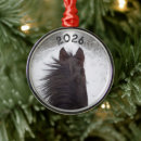 Suche nach schwarzes pferd ornamente Winter