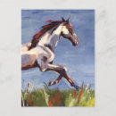 Suche nach galopp postkarten Reiten