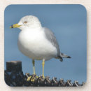 Suche nach seegras untersetzer Möwe