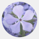 Suche nach flöten aufkleber Blume