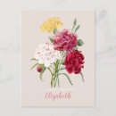 Suche nach vintage drucke postkarten Botanisch