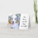 Suche nach australischer geburtstag karten Hund