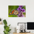 Suche nach monarchfalter poster Blumen