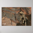 Suche nach rote gitarre poster Akustisch