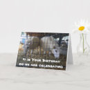 Suche nach komische karten Mitarbeiter