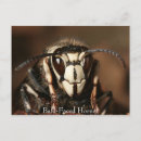 Suche nach wespen poster Hornet
