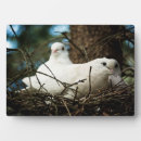 Suche nach bäume auf fotoplatten Weiß