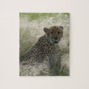 Suche nach gepard puzzle Schön
