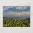 Suche nach tropischer regenwald postkarten Tropisches klima