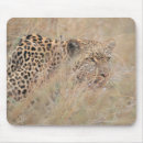 Suche nach wiese mousepads Tierjagd