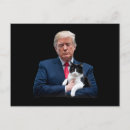 Suche nach lustige katze postkarten Kamala