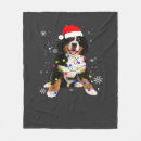 Suche nach berner sennenhund decken Hunde