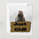 Suche nach afrikanisch postkarten Papagei