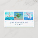 Suche nach dolphins visitenkarten Meer