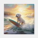 Suche nach bichons magnete Bichonfrische