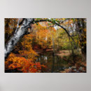 Suche nach versteinerter poster Landschaft