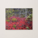 Suche nach kiefer puzzle Park