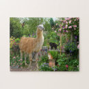 Suche nach lama puzzle Natur