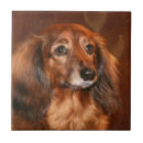 Suche nach weiner hund fliesen Hundeliebhaber