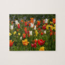Suche nach gelbe narzisse puzzle Blume