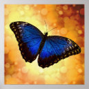 Suche nach bokeh poster Blue