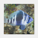 Suche nach individualität magnete Horizontal