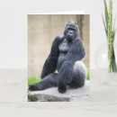 Suche nach ape karten Affe