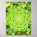 Suche nach grüne mandala poster Meditation
