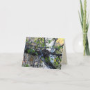 Suche nach nest karten Natur