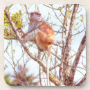 Suche nach primate untersetzer Affe