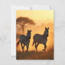 Suche nach zebras postkarten Natur