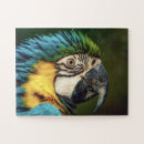 Suche nach ara puzzle Vogel
