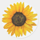 Suche nach sonnenblumen aufkleber Geburtstag