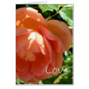 Suche nach ros porto Mit blumen
