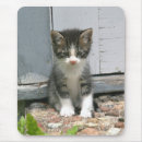 Suche nach traurige maus mousepads Katze
