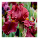 Suche nach glatt kunst Blume