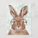 Suche nach rabbit postkarten Tier