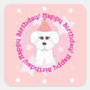 Suche nach bichon frise aufkleber Hunde