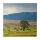 Suche nach montana fliesen Usa