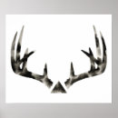 Suche nach geweihe poster Rotwild