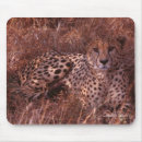 Suche nach große punkte mousepads Katze