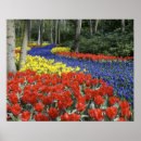 Suche nach keukenhof poster Holland