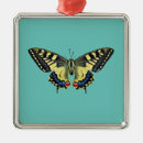 Suche nach schwarzer schmetterling ornamente Insekt